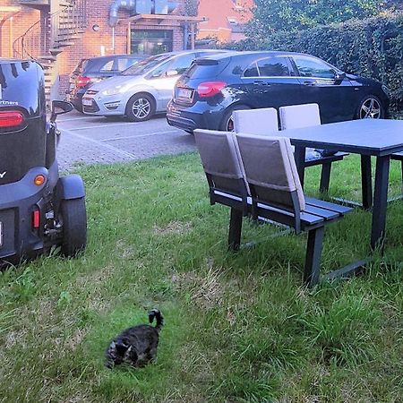 Logeerkamer Xxl 25 M2 Zemst Bagian luar foto