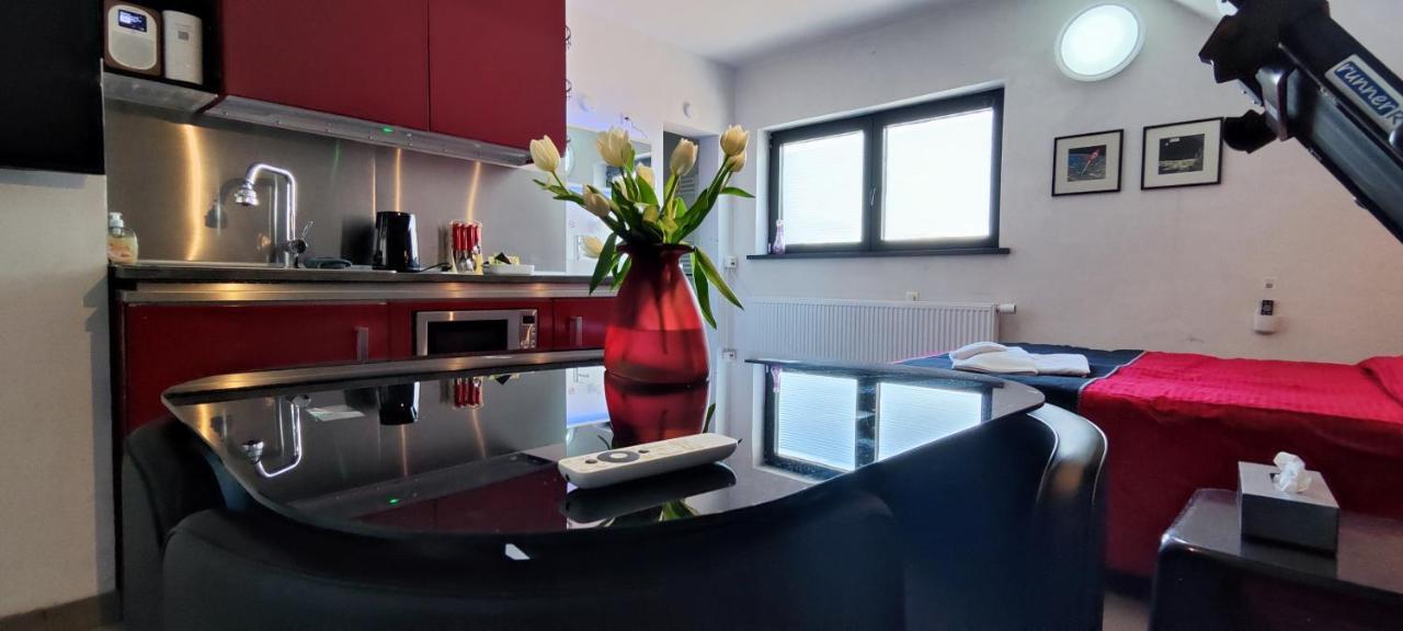 Logeerkamer Xxl 25 M2 Zemst Bagian luar foto